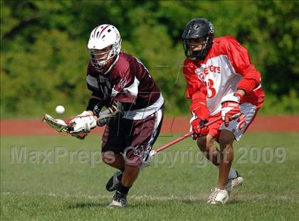 Thumbnail 1 in Farmington @ Wilbur Cross photogallery.