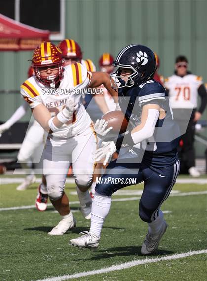 Thumbnail 3 in Cardinal Newman @ Marin Catholic photogallery.