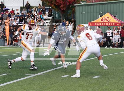 Thumbnail 3 in Cardinal Newman @ Marin Catholic photogallery.