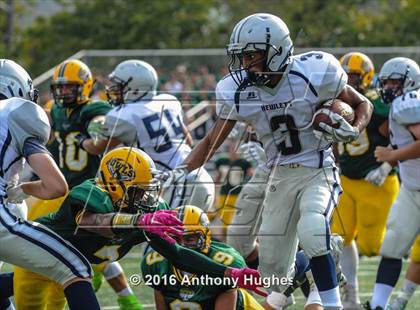 Thumbnail 2 in Hewlett @ Lynbrook photogallery.