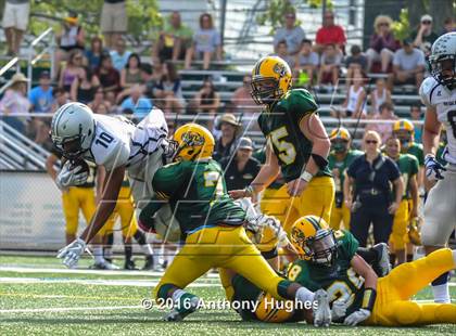 Thumbnail 2 in Hewlett @ Lynbrook photogallery.
