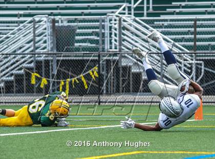 Thumbnail 3 in Hewlett @ Lynbrook photogallery.