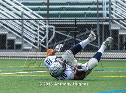 Thumbnail 1 in Hewlett @ Lynbrook photogallery.