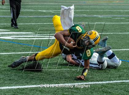 Thumbnail 3 in Hewlett @ Lynbrook photogallery.