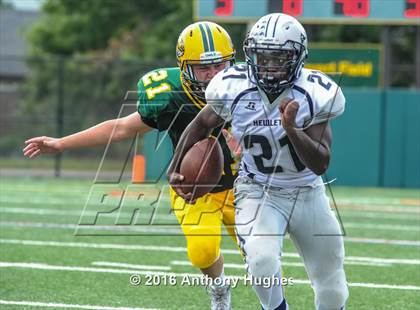 Thumbnail 3 in Hewlett @ Lynbrook photogallery.