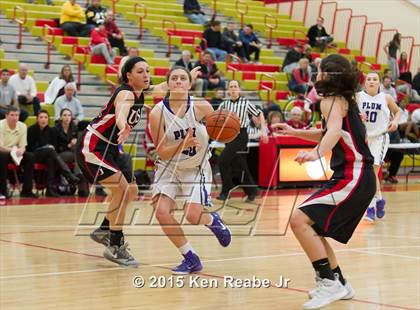 Thumbnail 2 in Plum vs Upper St. Clair (Battle of the Counties Tournament) photogallery.