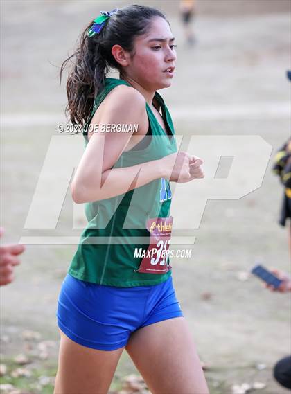 Thumbnail 1 in CIF Central Section Cross Country Championships (Girls D2 Race) photogallery.