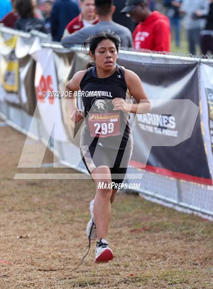 Thumbnail 3 in CIF Central Section Cross Country Championships (Girls D2 Race) photogallery.