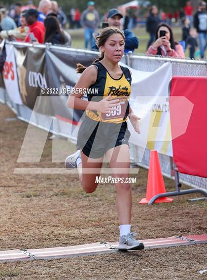 Thumbnail 3 in CIF Central Section Cross Country Championships (Girls D2 Race) photogallery.