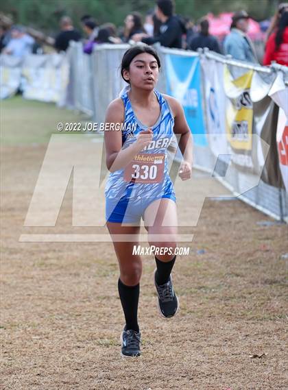 Thumbnail 3 in CIF Central Section Cross Country Championships (Girls D2 Race) photogallery.