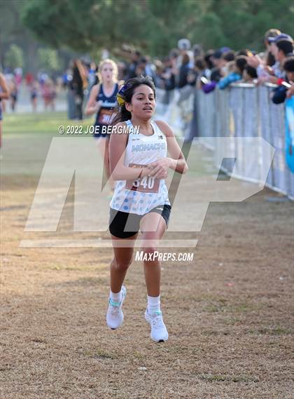 Thumbnail 2 in CIF Central Section Cross Country Championships (Girls D2 Race) photogallery.