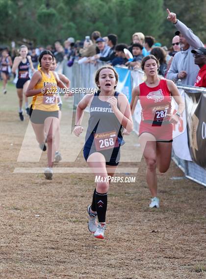 Thumbnail 3 in CIF Central Section Cross Country Championships (Girls D2 Race) photogallery.