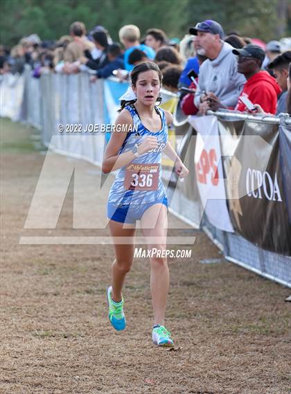 Thumbnail 2 in CIF Central Section Cross Country Championships (Girls D2 Race) photogallery.