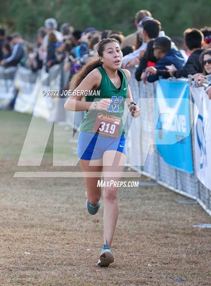 Thumbnail 2 in CIF Central Section Cross Country Championships (Girls D2 Race) photogallery.