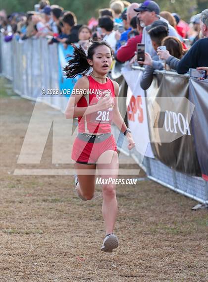 Thumbnail 2 in CIF Central Section Cross Country Championships (Girls D2 Race) photogallery.
