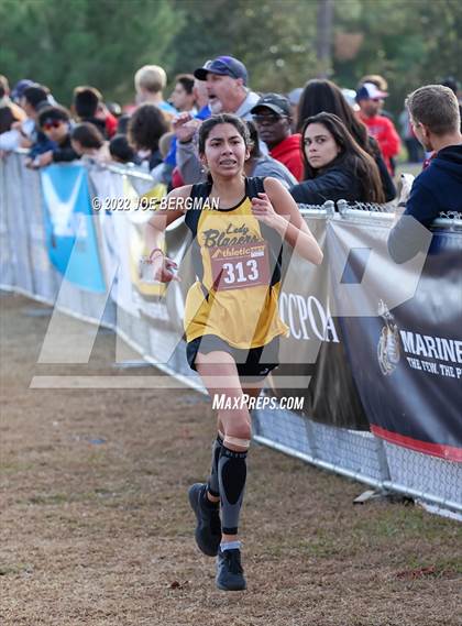 Thumbnail 1 in CIF Central Section Cross Country Championships (Girls D2 Race) photogallery.