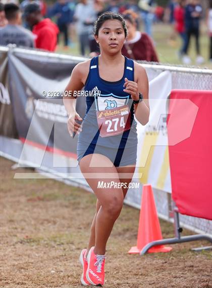 Thumbnail 1 in CIF Central Section Cross Country Championships (Girls D2 Race) photogallery.