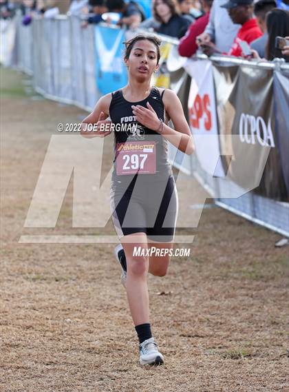 Thumbnail 1 in CIF Central Section Cross Country Championships (Girls D2 Race) photogallery.