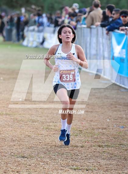 Thumbnail 1 in CIF Central Section Cross Country Championships (Girls D2 Race) photogallery.