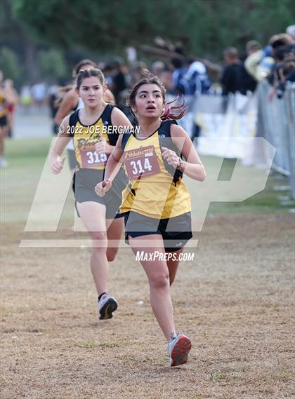 Thumbnail 3 in CIF Central Section Cross Country Championships (Girls D2 Race) photogallery.