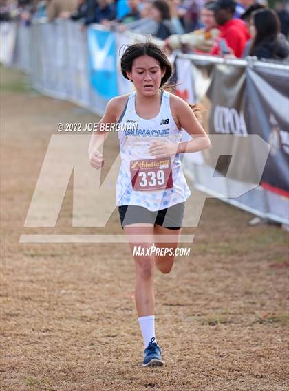 Thumbnail 2 in CIF Central Section Cross Country Championships (Girls D2 Race) photogallery.
