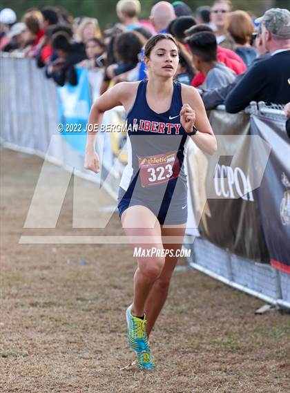 Thumbnail 1 in CIF Central Section Cross Country Championships (Girls D2 Race) photogallery.