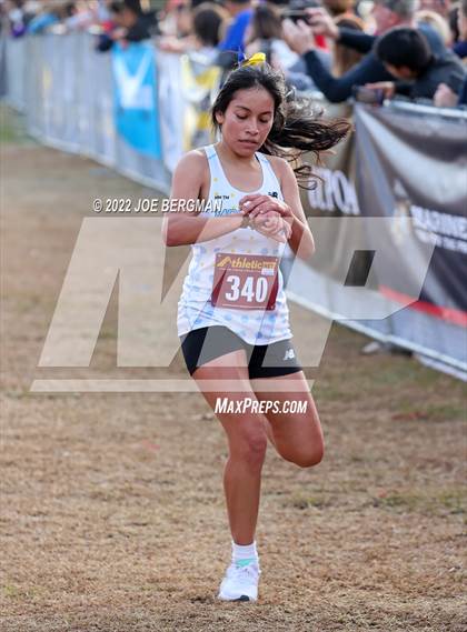 Thumbnail 3 in CIF Central Section Cross Country Championships (Girls D2 Race) photogallery.