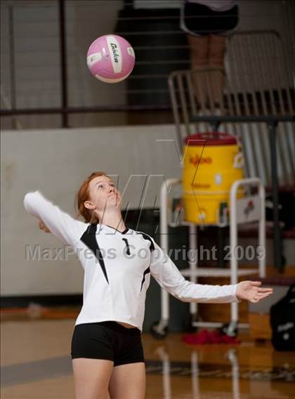 Thumbnail 2 in Alvin vs. Amarillo (Pearland Volleyball Classic) photogallery.