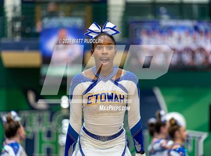 Thumbnail 3 in Etowah (Creekview Classic) photogallery.