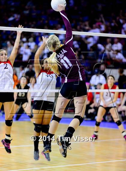 Thumbnail 3 in Idalia vs. Otis (CHSAA 1A Semifinal) photogallery.