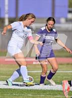Photo from the gallery "White Pine @ Yerington"