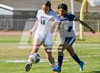 Photo from the gallery "White Pine @ Yerington"