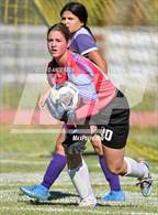 Photo from the gallery "White Pine @ Yerington"