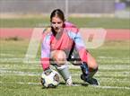 Photo from the gallery "White Pine @ Yerington"