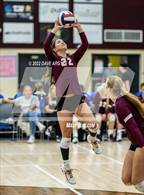 Photo from the gallery "Maple Mountain vs. Corner Canyon (5A/6A Volleyball Challenge)"