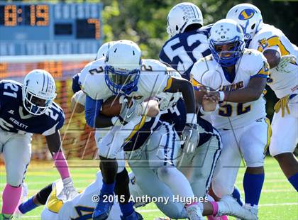 Thumbnail 3 in Lawrence @ Hewlett photogallery.
