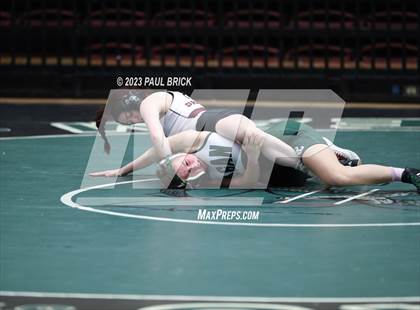 Thumbnail 1 in UIL Region 4 Wrestling Finals photogallery.