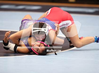 Thumbnail 1 in UIL Region 4 Wrestling Finals photogallery.