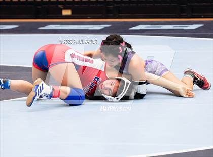 Thumbnail 3 in UIL Region 4 Wrestling Finals photogallery.