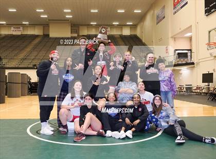 Thumbnail 3 in UIL Region 4 Wrestling Finals photogallery.