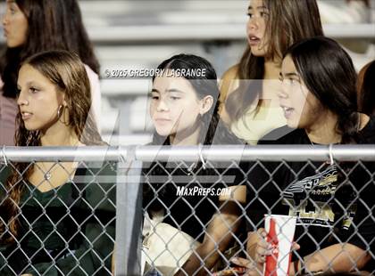 Thumbnail 2 in Newman Smith vs Fossil Ridge photogallery.