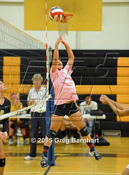 Thumbnail 3 in Inderkum @ Yuba City photogallery.