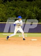 Photo from the gallery "Lennard @ Jesuit (Saladino)"