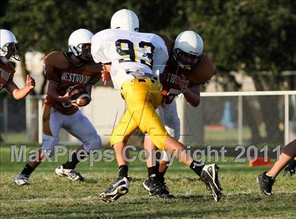 Thumbnail 1 in Stony Point Freshmen Gold @ Round Rock Westwood Freshmen White (9/23/2010) photogallery.