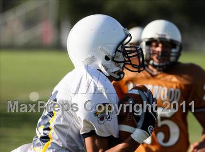 Thumbnail 3 in Stony Point Freshmen Gold @ Round Rock Westwood Freshmen White (9/23/2010) photogallery.