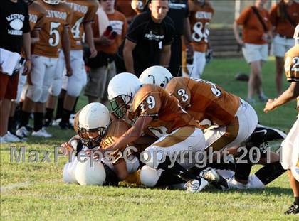Thumbnail 2 in Stony Point Freshmen Gold @ Round Rock Westwood Freshmen White (9/23/2010) photogallery.