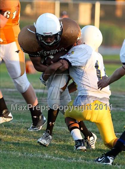 Thumbnail 3 in Stony Point Freshmen Gold @ Round Rock Westwood Freshmen White (9/23/2010) photogallery.