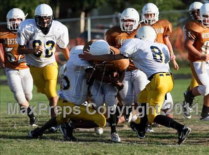 Thumbnail 3 in Stony Point Freshmen Gold @ Round Rock Westwood Freshmen White (9/23/2010) photogallery.