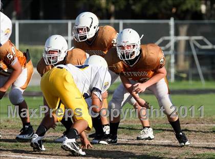 Thumbnail 1 in Stony Point Freshmen Gold @ Round Rock Westwood Freshmen White (9/23/2010) photogallery.