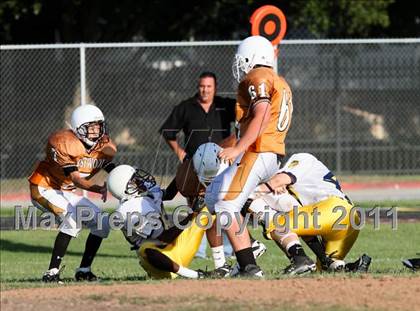 Thumbnail 3 in Stony Point Freshmen Gold @ Round Rock Westwood Freshmen White (9/23/2010) photogallery.